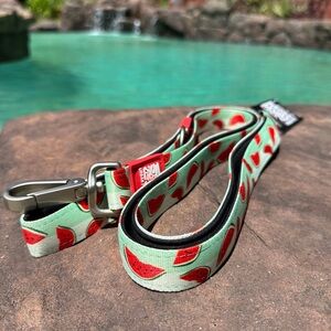 Max & Molly Watermelon Classic Comfort Grip Neoprene Handle Large Dog Leash